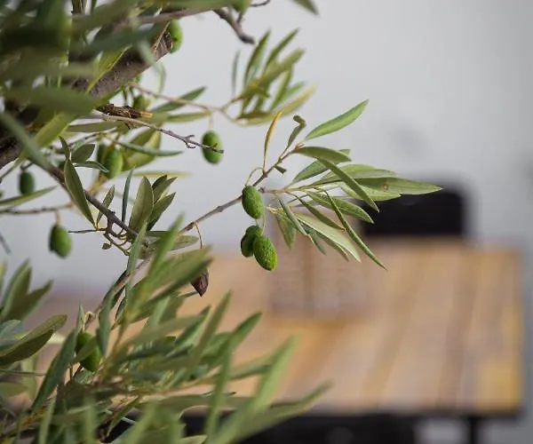 Calma Boutique House