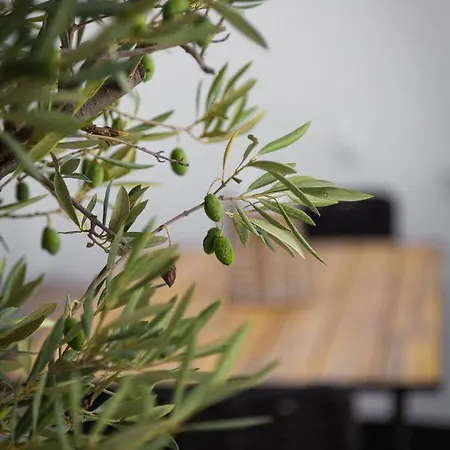 Calma Boutique House